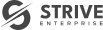 logo-strive